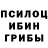 Галлюциногенные грибы мицелий Ame XVI