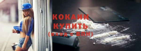 твердый Горняк