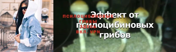 твердый Горняк