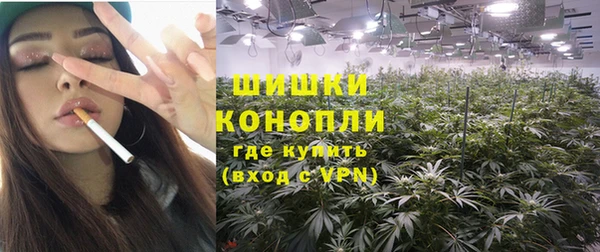 твердый Горняк