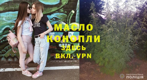 твердый Горняк