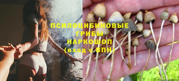 эйфоретик Горнозаводск